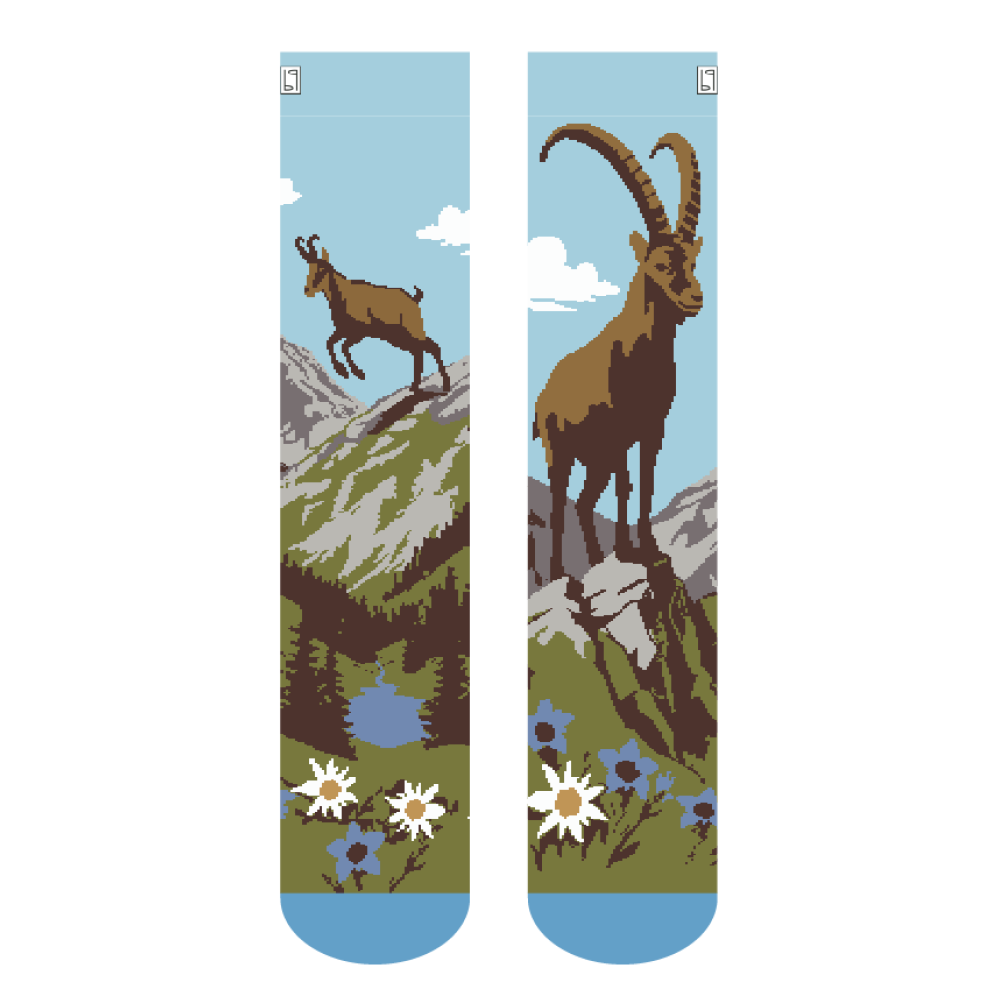 Steinbock und Gämschi