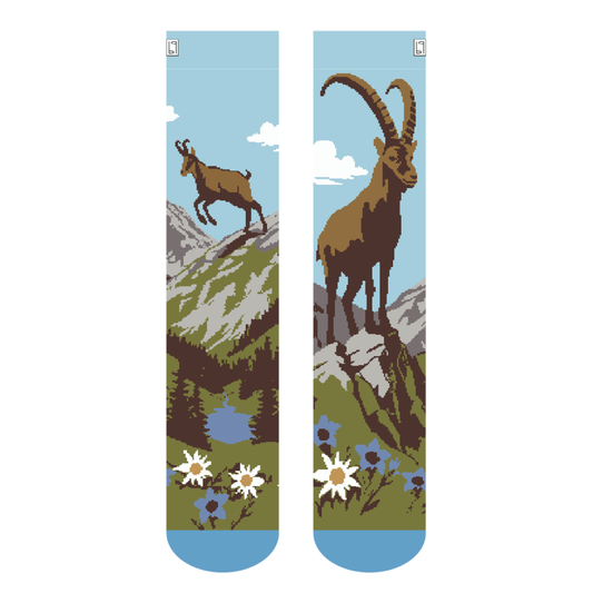 Steinbock und Gämsi